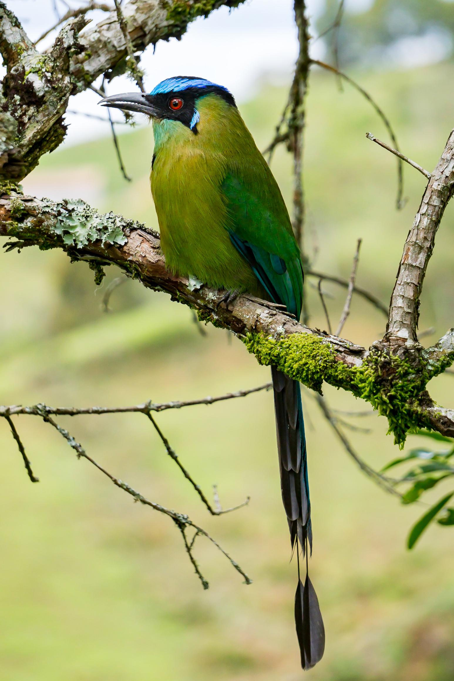 Cannua Lodge マリニリャ エクステリア 写真