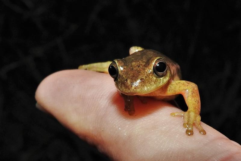 Cannua Lodge マリニリャ エクステリア 写真